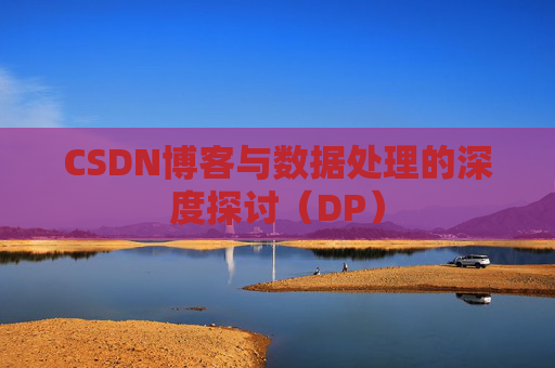 CSDN博客与数据处理的深度探讨（DP）